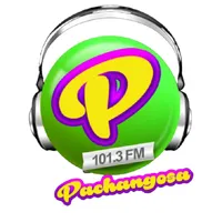 PACHANGOSA 101.3 FM icon