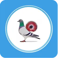 Pigeon Market icon