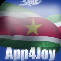 Suriname Flag icon