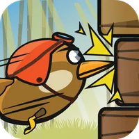 WoodPecker : Bird Dash icon