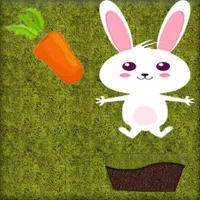 little rabbit icon