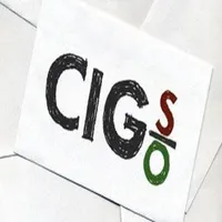 Cassa Integrazione 2020 icon
