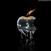 Beautiful Wallpapers icon