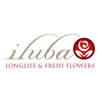 iluba icon