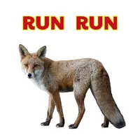 Run Run el Zorrito icon