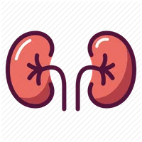 Kidney Nutrition Management icon