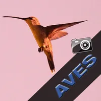 Imágenes Aves. Fondos Pantalla icon