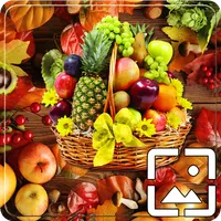 All Fruits Wallpapers Hd icon