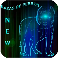 Imágenes de Perros-Razas icon