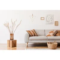 HomeLife icon