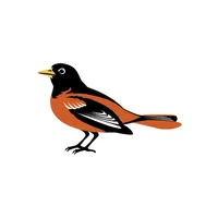 Gackle-Streeter School icon
