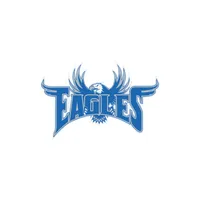 Hondo Eagles icon