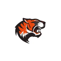 Stratford Tigers icon