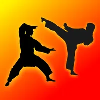 Learn Kung Fu icon