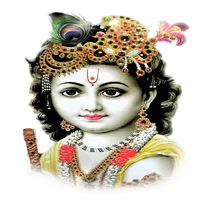 Lord Krishna HD Wallpapers icon