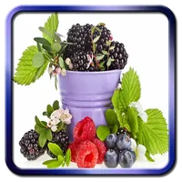 Berries icon