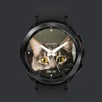 Cat Watch Face icon