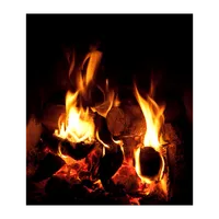 Bonfire Live Wallpaper icon