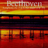 Beethoven Symphony No 3 Op 55 icon