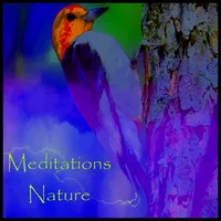 Meditations In Nature icon