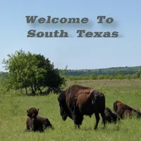 Texas Day Tours - South Texas icon