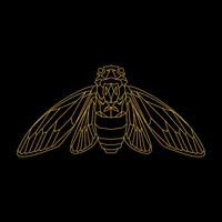 Cicada Media icon