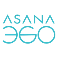 Asana Payment icon