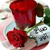 Gif صباح الخير و مساء الخير icon