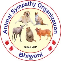 ASO BHIWANI icon