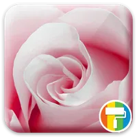 Rose ASUS ZenUI Theme icon