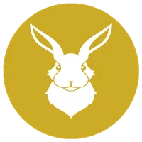 Rabbit Coin icon