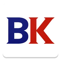 BiddingKings icon