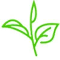 Assam Tea Gardens icon