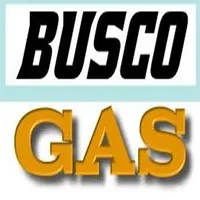 Busco GAS icon
