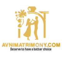 The AvniM Services icon