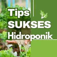 Tips Sukses Hidroponik icon