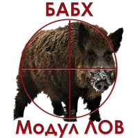 Module Hunt icon