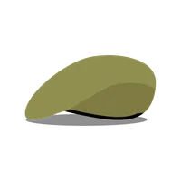 עיר הבהדים icon