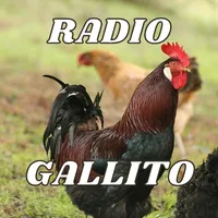 Radio  Gallito jalisco mexico icon