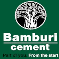 Bamburi driver icon