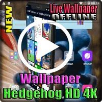 Wallpapers Gif For Hedgehogy H icon