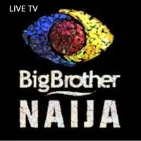 BBNaija Live TV 2021-  Big Bro icon