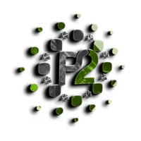 P2 Server Gerenciador icon