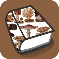 Edible Mushroom Types icon