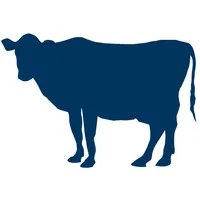 STOCKyard Mobile icon
