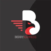 Berry Express Driver icon