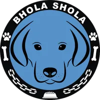 Bhola Shola icon