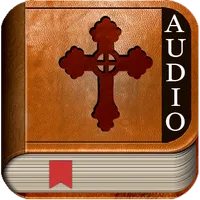 Audio Bible NIV icon