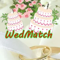 WedMatch - Instant Weddings icon