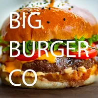 Big Burger Co icon